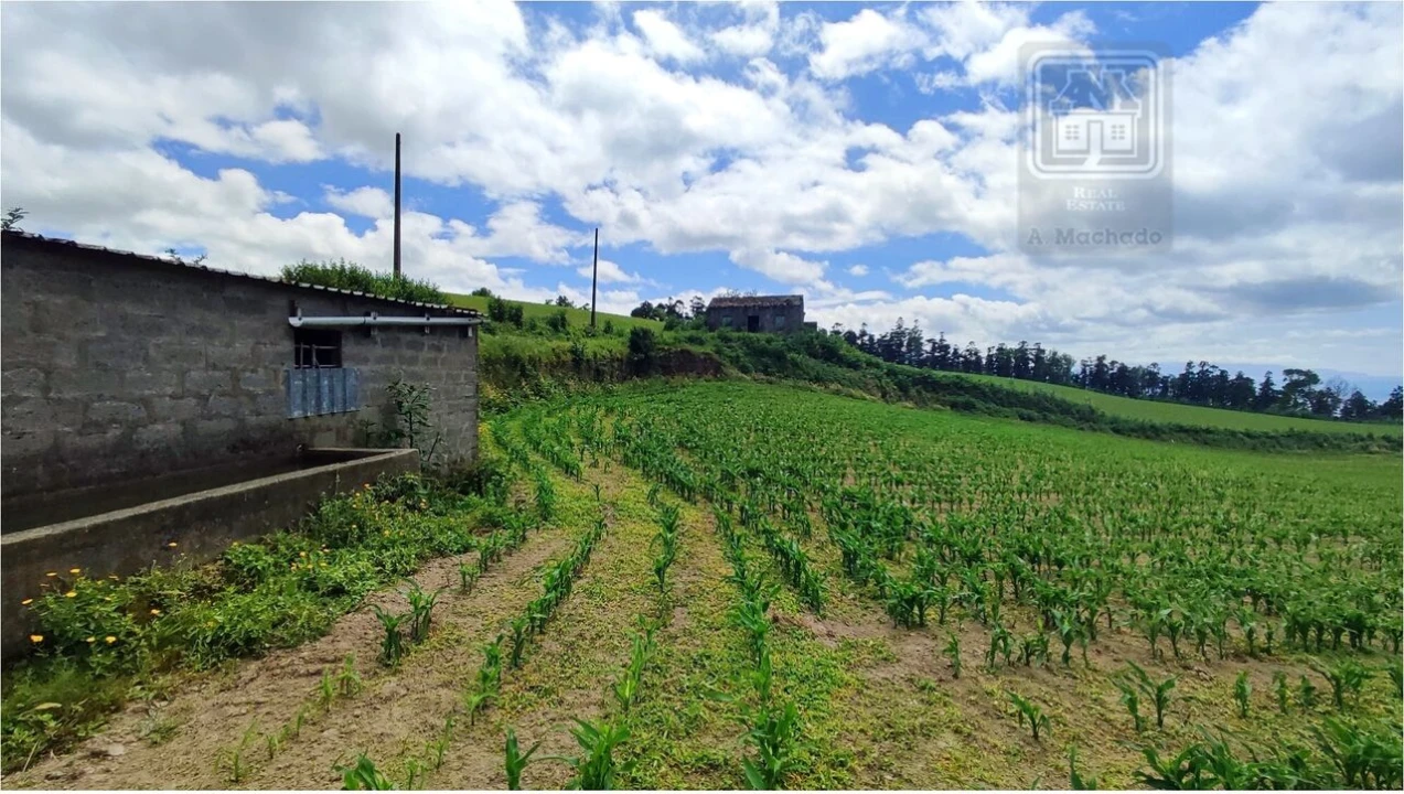 Terreno para Venda em Fenais da Ajuda Foto 11