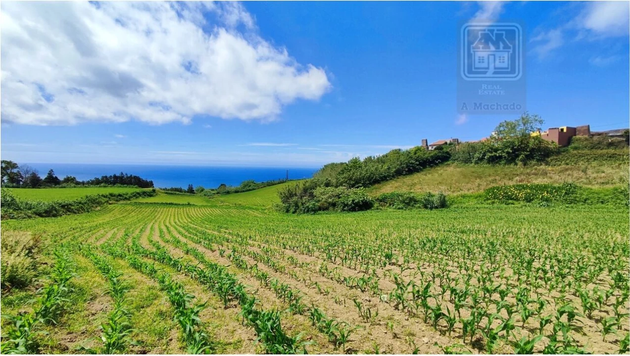 Terreno para Venda em Fenais da Ajuda Foto 19
