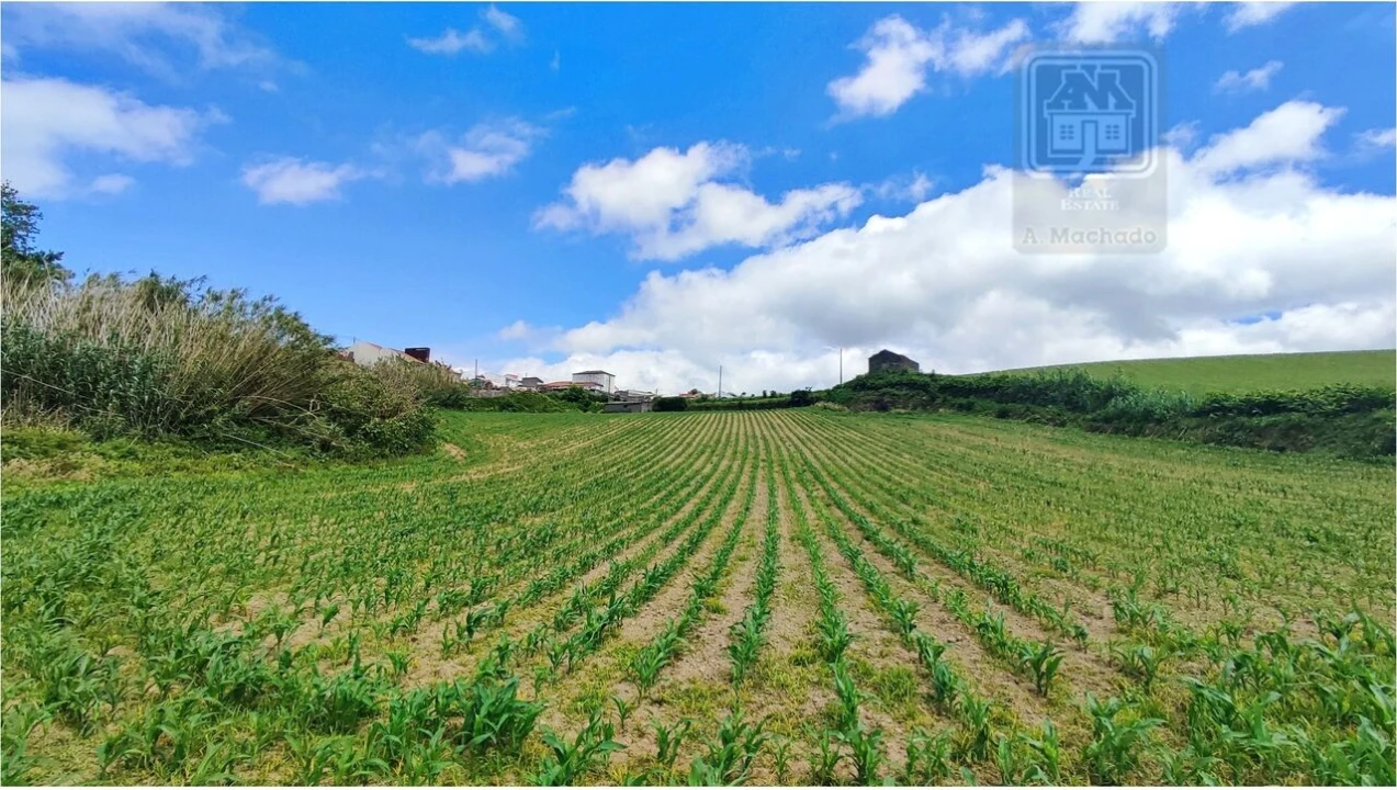 Terreno para Venda em Fenais da Ajuda Foto 24