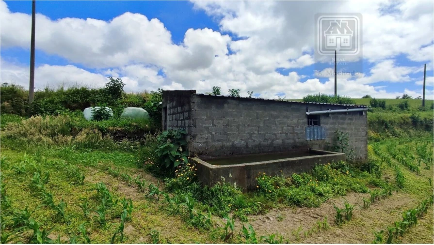 Terreno para Venda em Fenais da Ajuda Foto 10