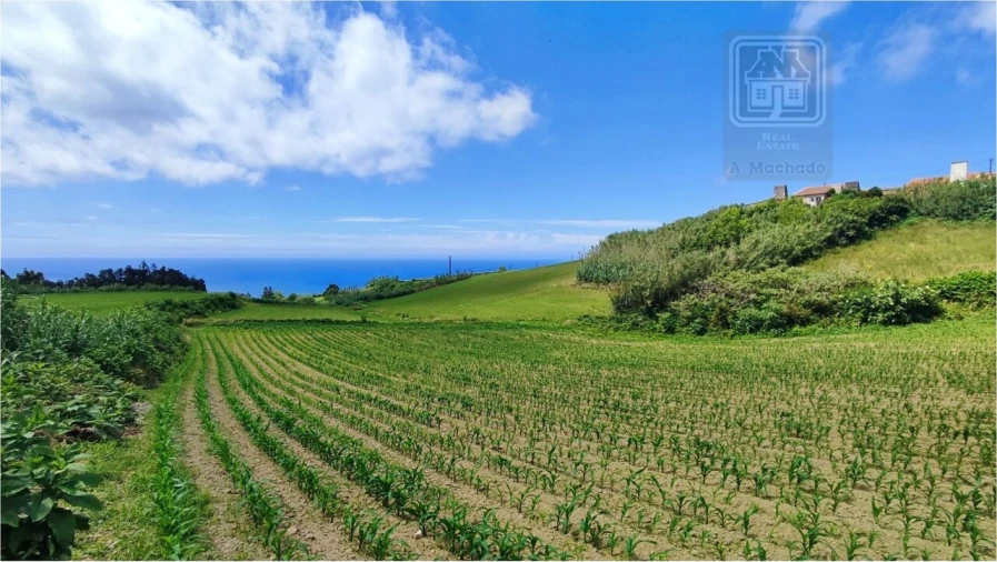 Terreno para Venda em Fenais da Ajuda Foto 20