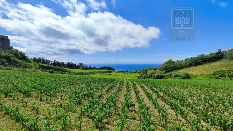 Terreno para Venda em Fenais da Ajuda