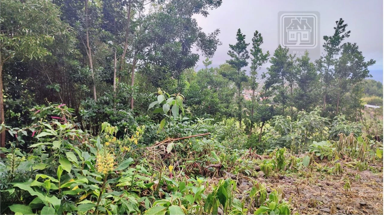 Terreno para Venda em São Vicente Ferreira Foto 9