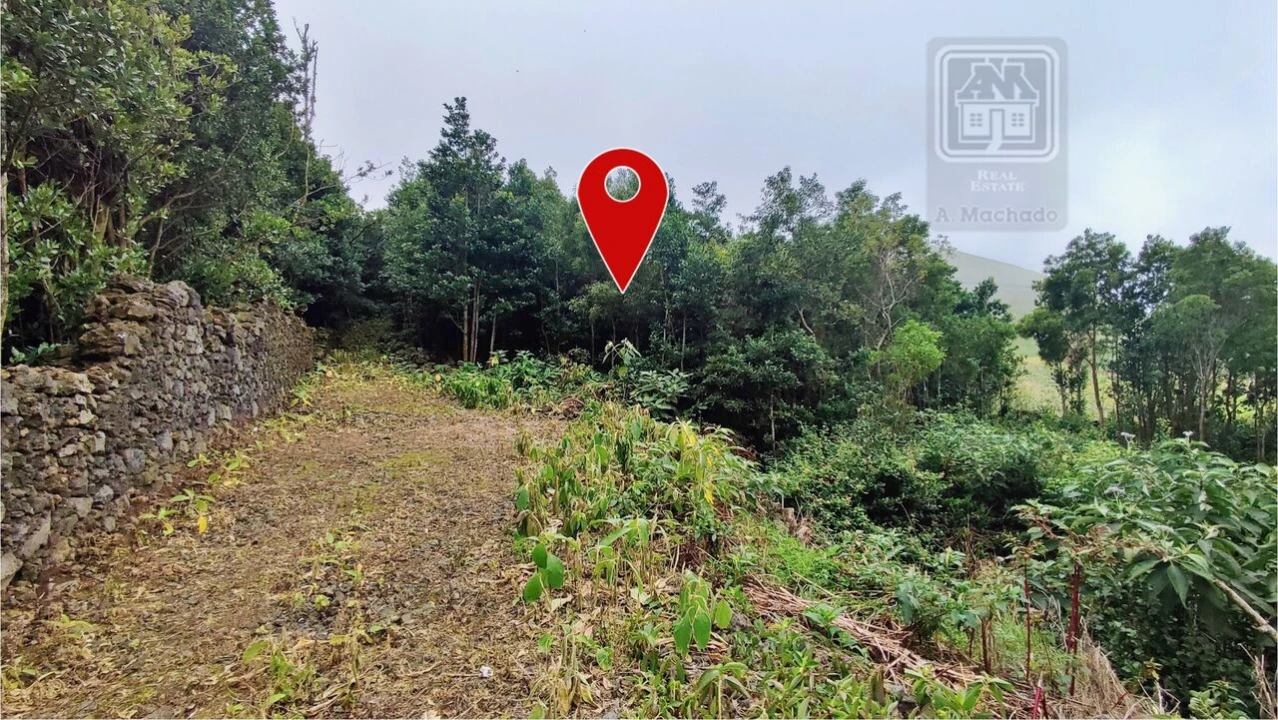 Terreno para Venda em São Vicente Ferreira Foto 15