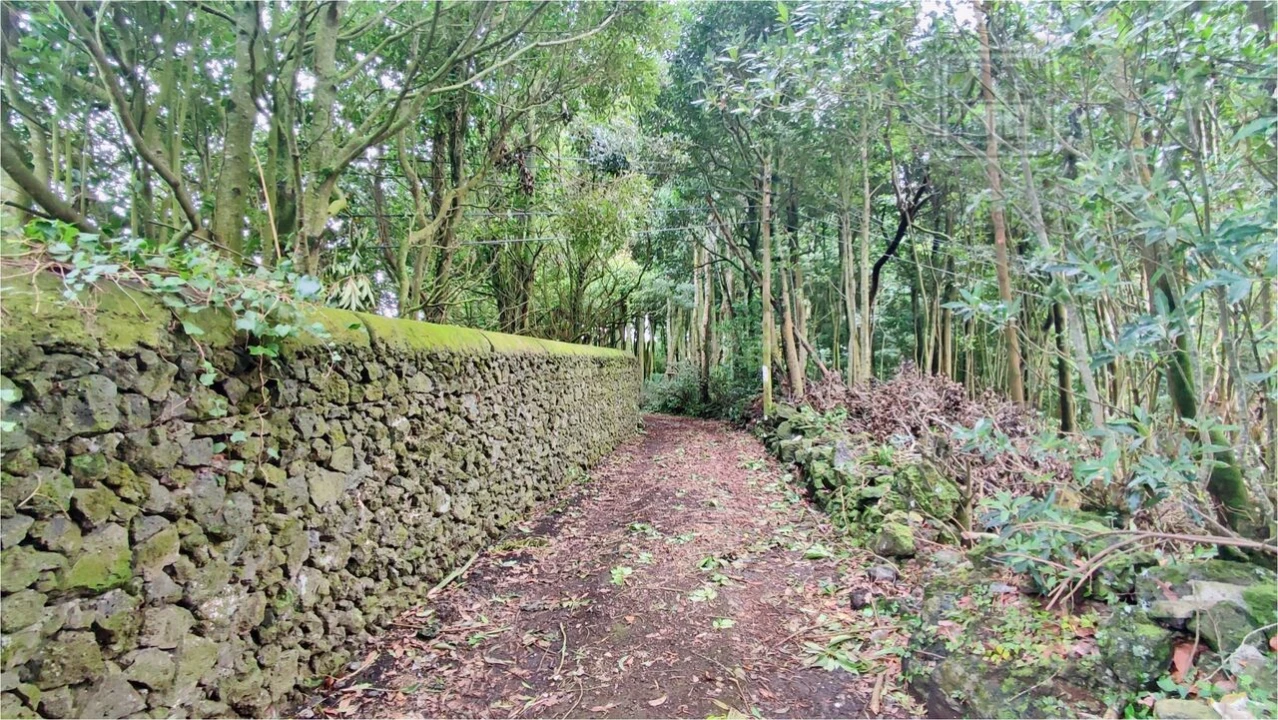 Terreno para Venda em São Vicente Ferreira Foto 20
