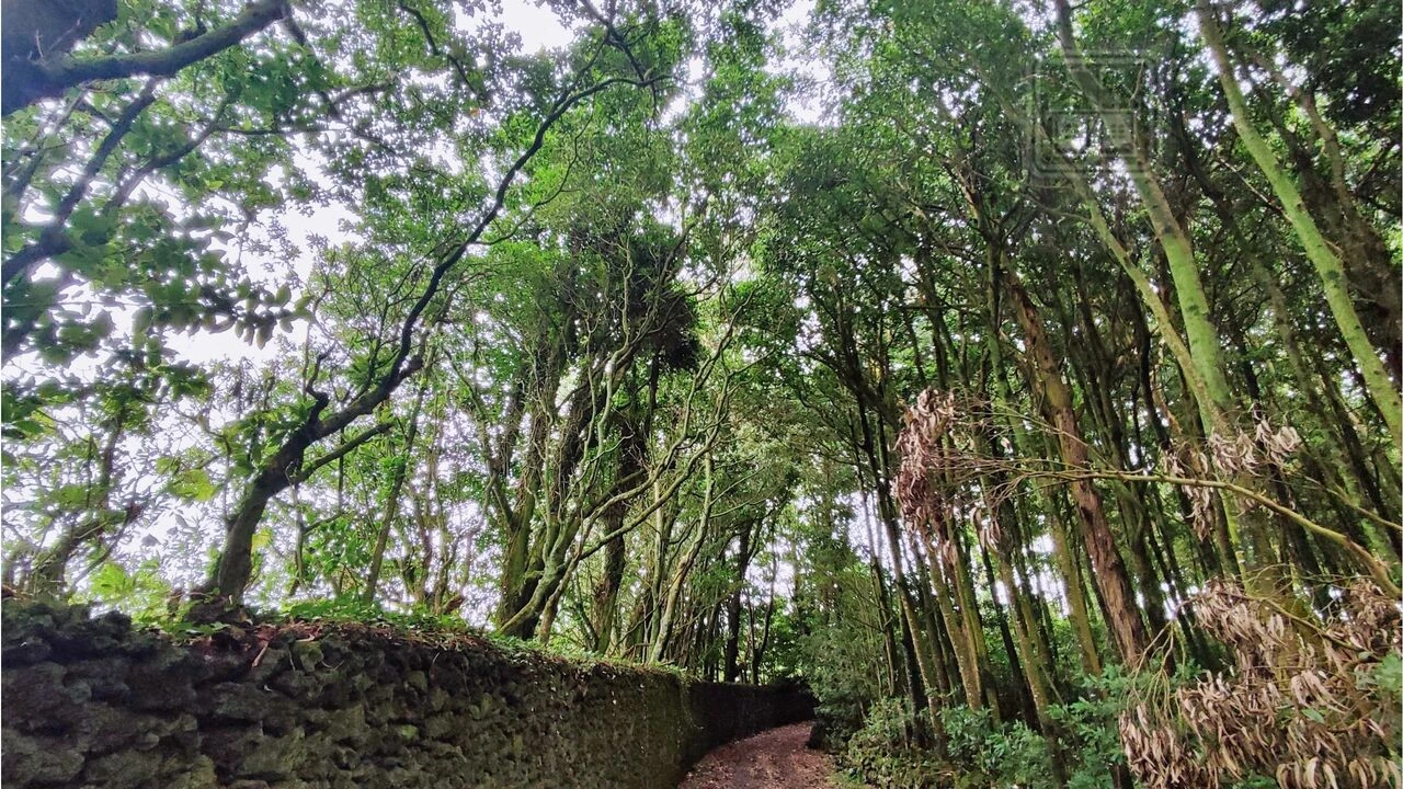 Terreno para Venda em São Vicente Ferreira Foto 21
