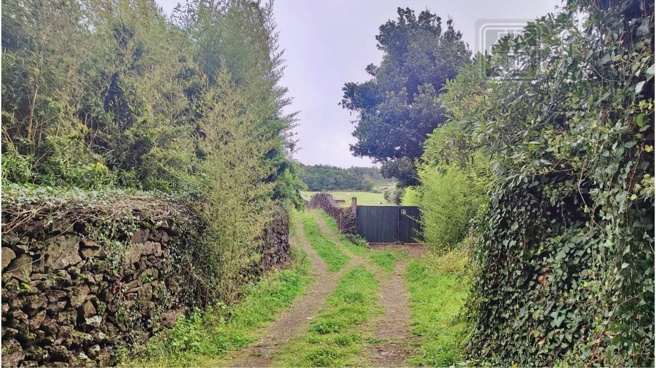 Terreno para Venda em São Vicente Ferreira Foto 22