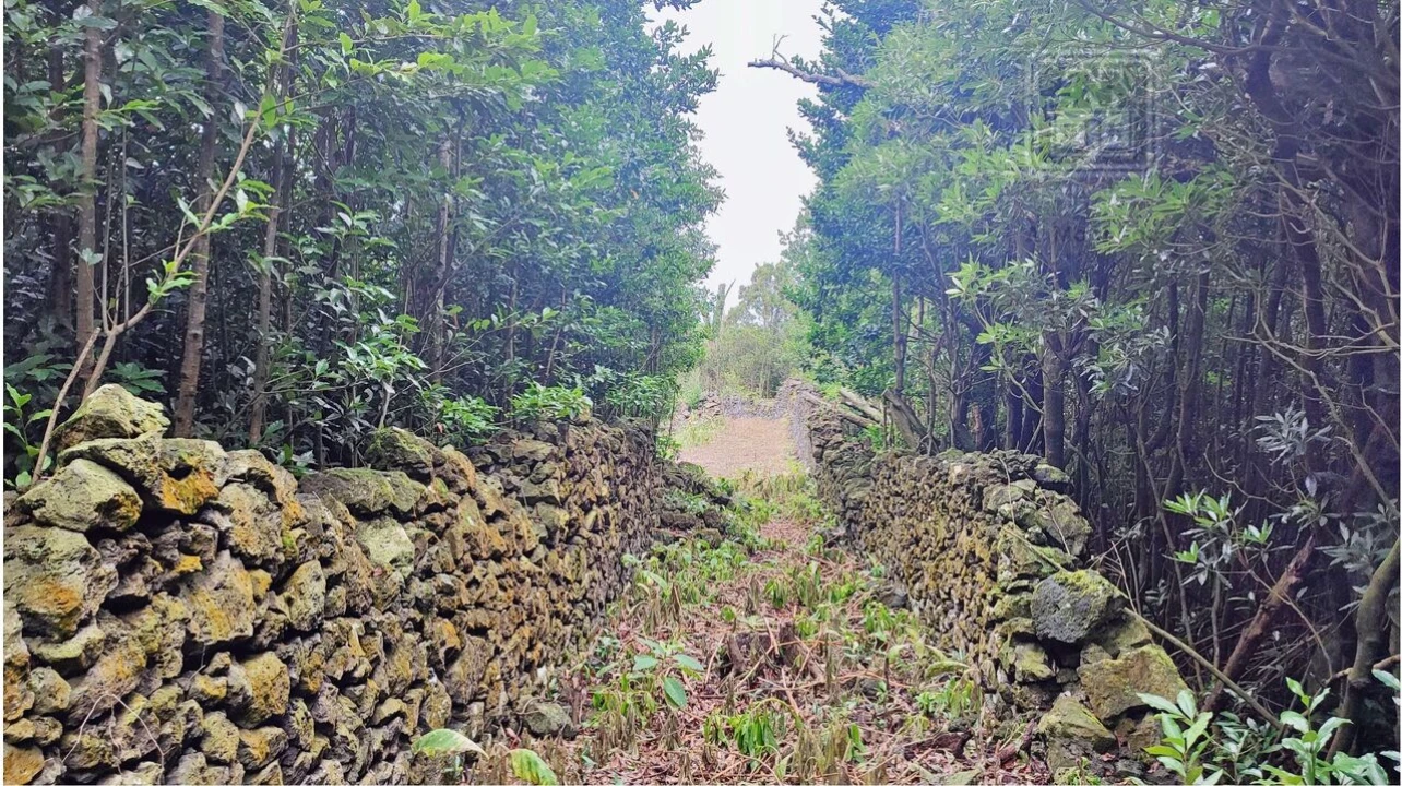 Terreno para Venda em São Vicente Ferreira Foto 30