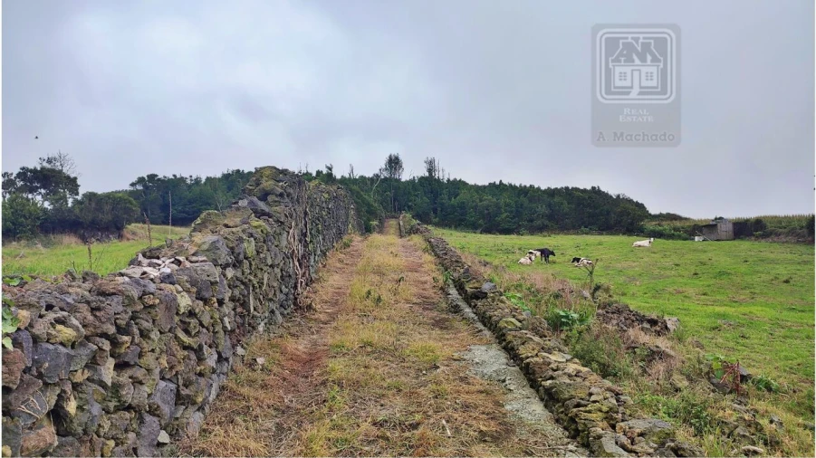Terreno para Venda em São Vicente Ferreira Foto 24