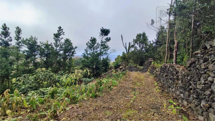 Terreno para Venda em São Vicente Ferreira Foto 28