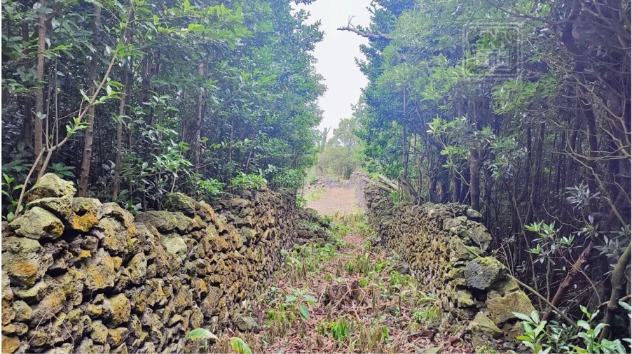 Terreno para Venda em São Vicente Ferreira Foto 30
