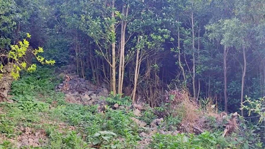 Terreno para Venda em São Vicente Ferreira