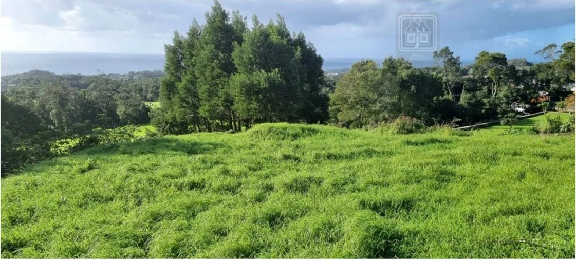 Terreno para Venda em Posto Santo Foto 4