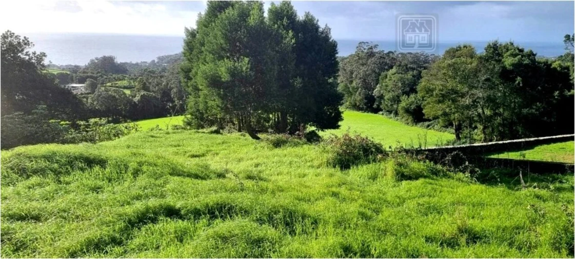 Terreno para Venda em Posto Santo Foto 9