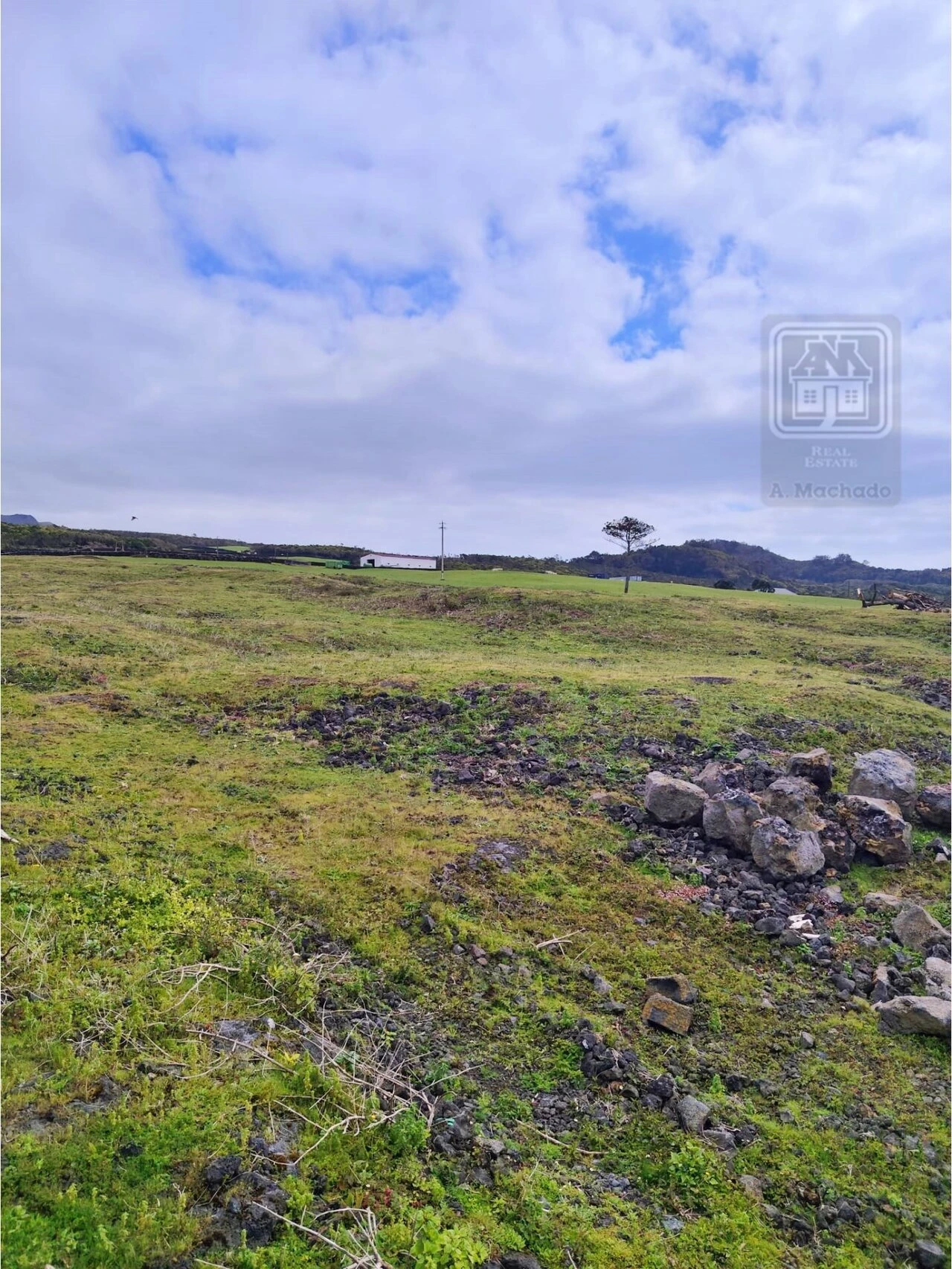 Terreno para Venda em Criação Velha Foto 7