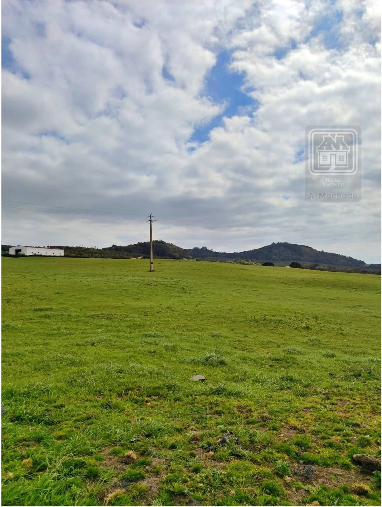 Terreno para Venda em Criação Velha Foto 8