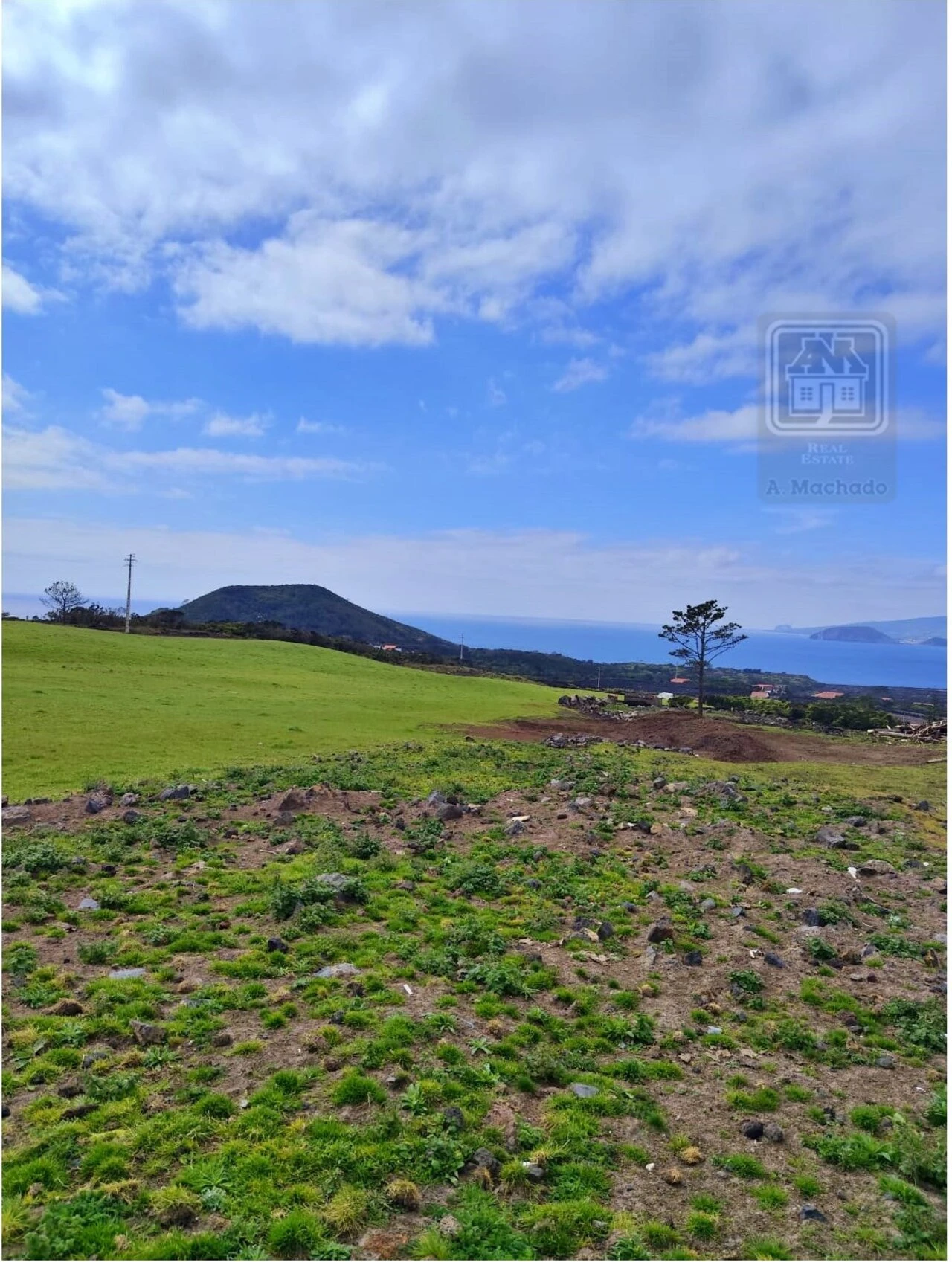 Terreno para Venda em Criação Velha Foto 9
