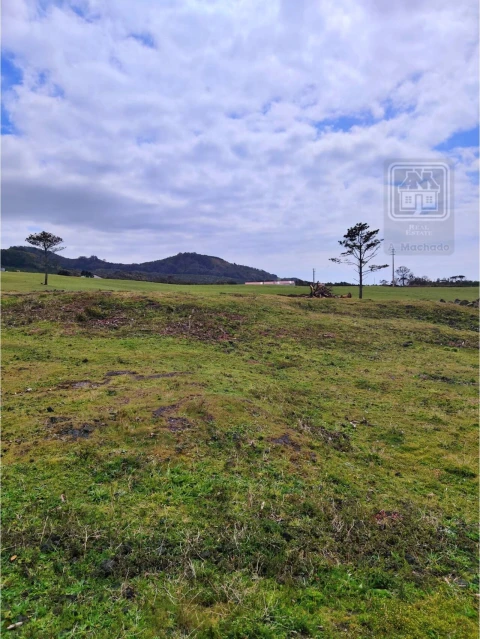 Terreno para Venda em Criação Velha