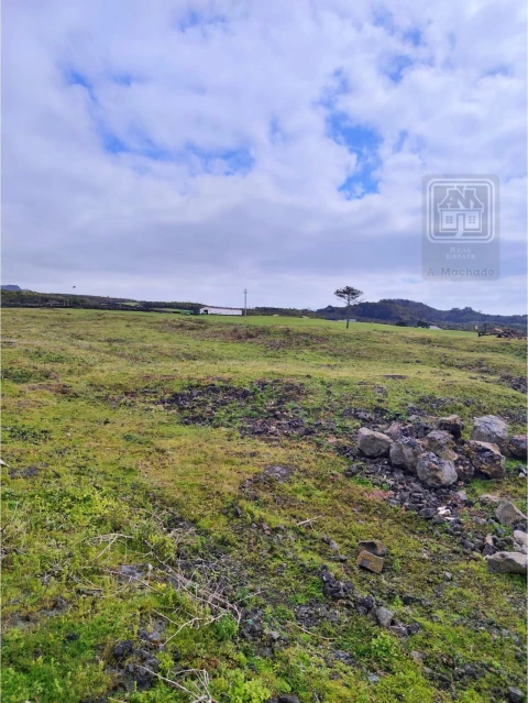 Terreno para Venda em Criação Velha