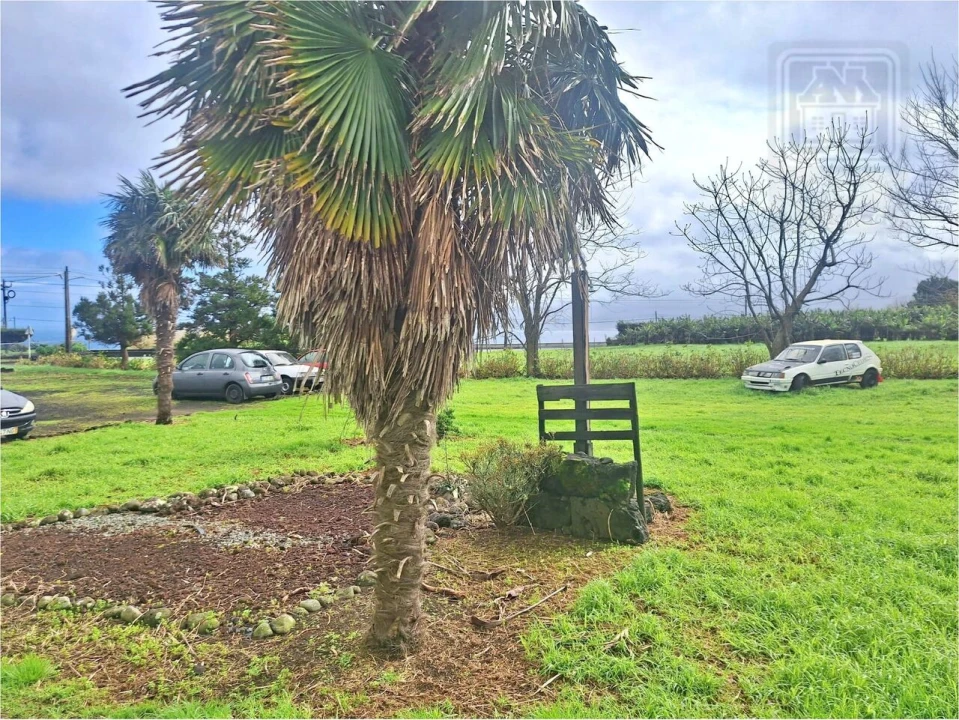 Loja para Venda em Ribeirinha Foto 11