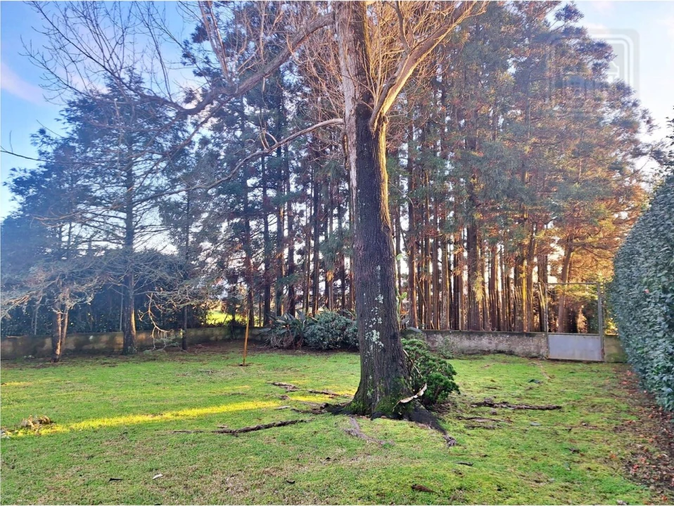 Moradia T4 para Venda em Feteira Foto 22