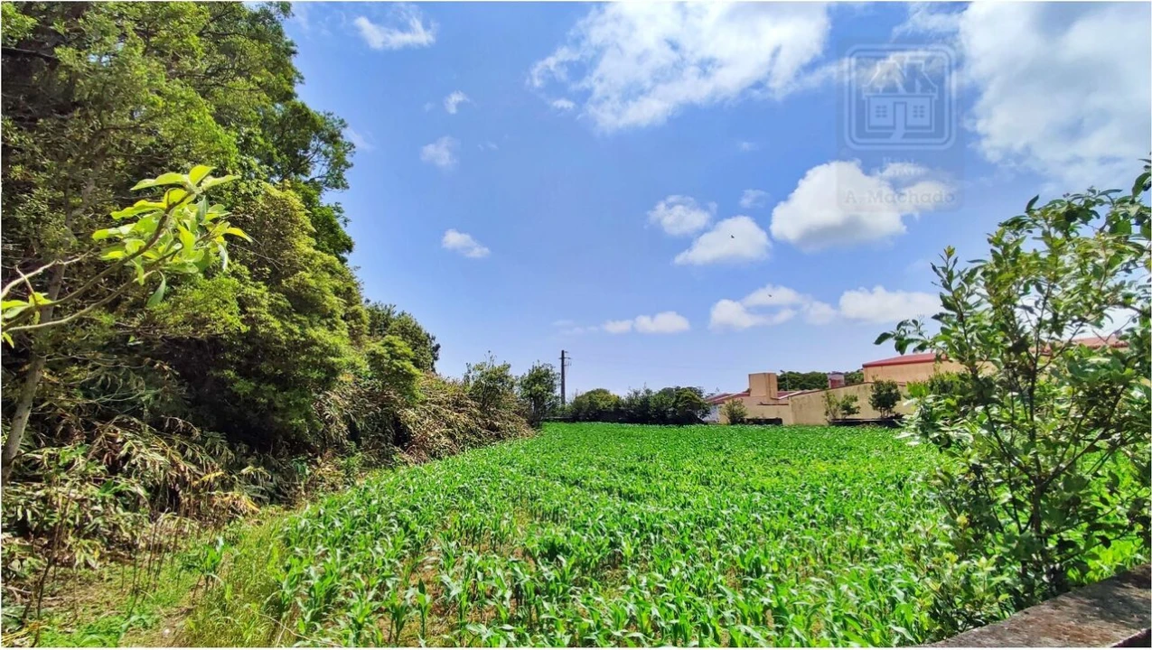 Terreno para Venda em Pico da Pedra Foto 14