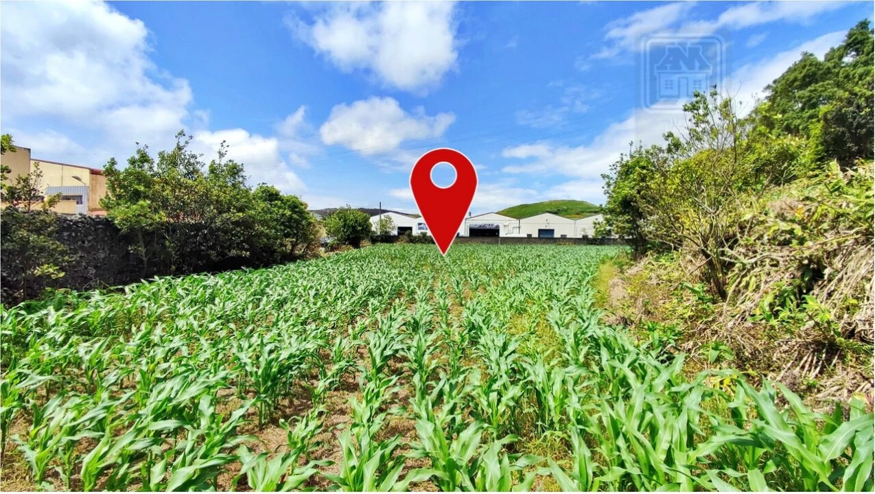 Terreno para Venda em Pico da Pedra Foto 16