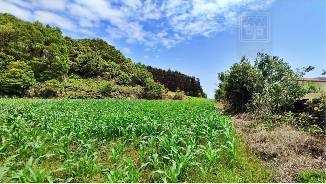 Terreno para Venda em Pico da Pedra Foto 18