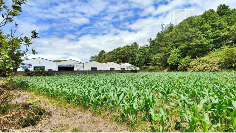 Terreno para Venda em Pico da Pedra Foto 1