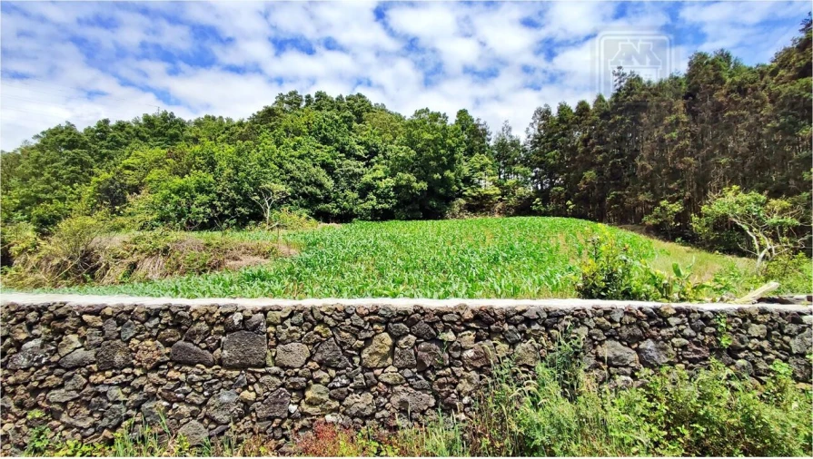 Terreno para Venda em Pico da Pedra Foto 6