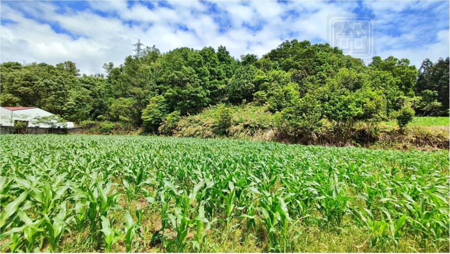 Terreno para Venda em Pico da Pedra Foto 11