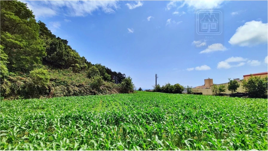 Terreno para Venda em Pico da Pedra Foto 12