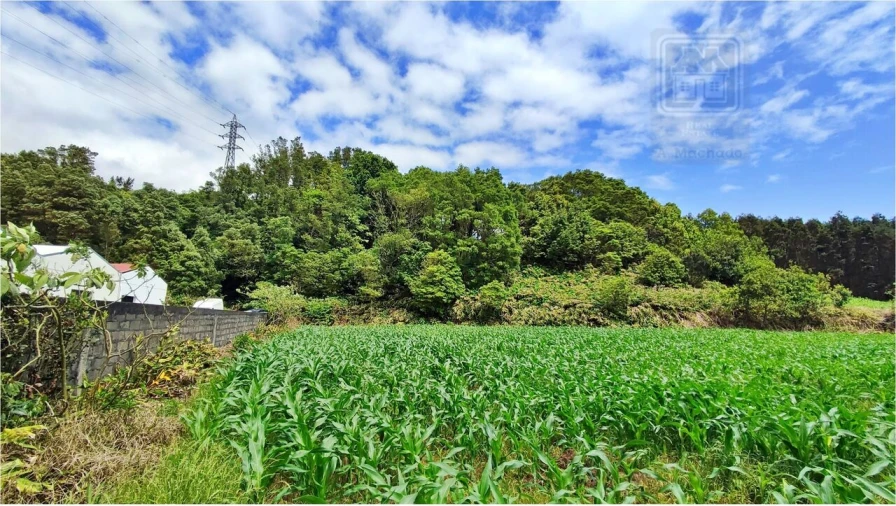 Terreno para Venda em Pico da Pedra Foto 19