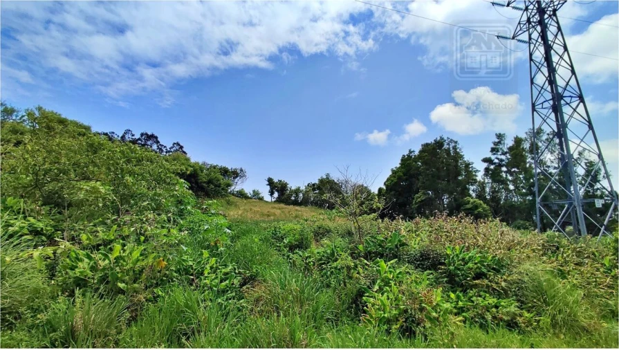 Terreno para Venda em Pico da Pedra Foto 23