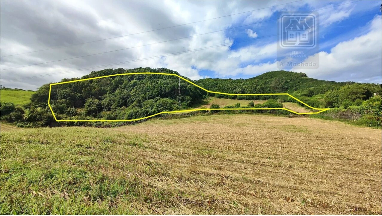Terreno para Venda em Rosto do Cão (São Roque) Foto 2