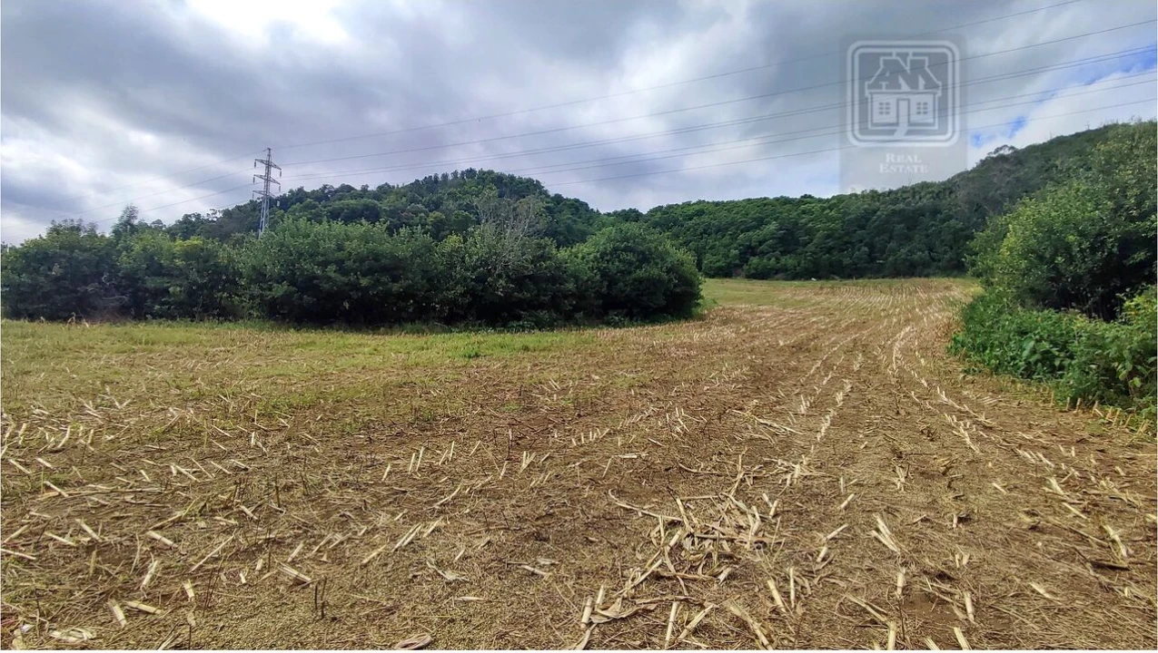 Terreno para Venda em Rosto do Cão (São Roque) Foto 4
