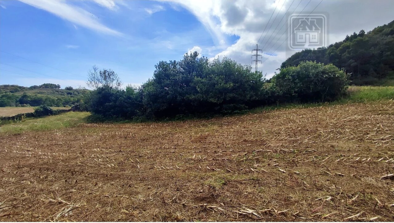 Terreno para Venda em Rosto do Cão (São Roque) Foto 6