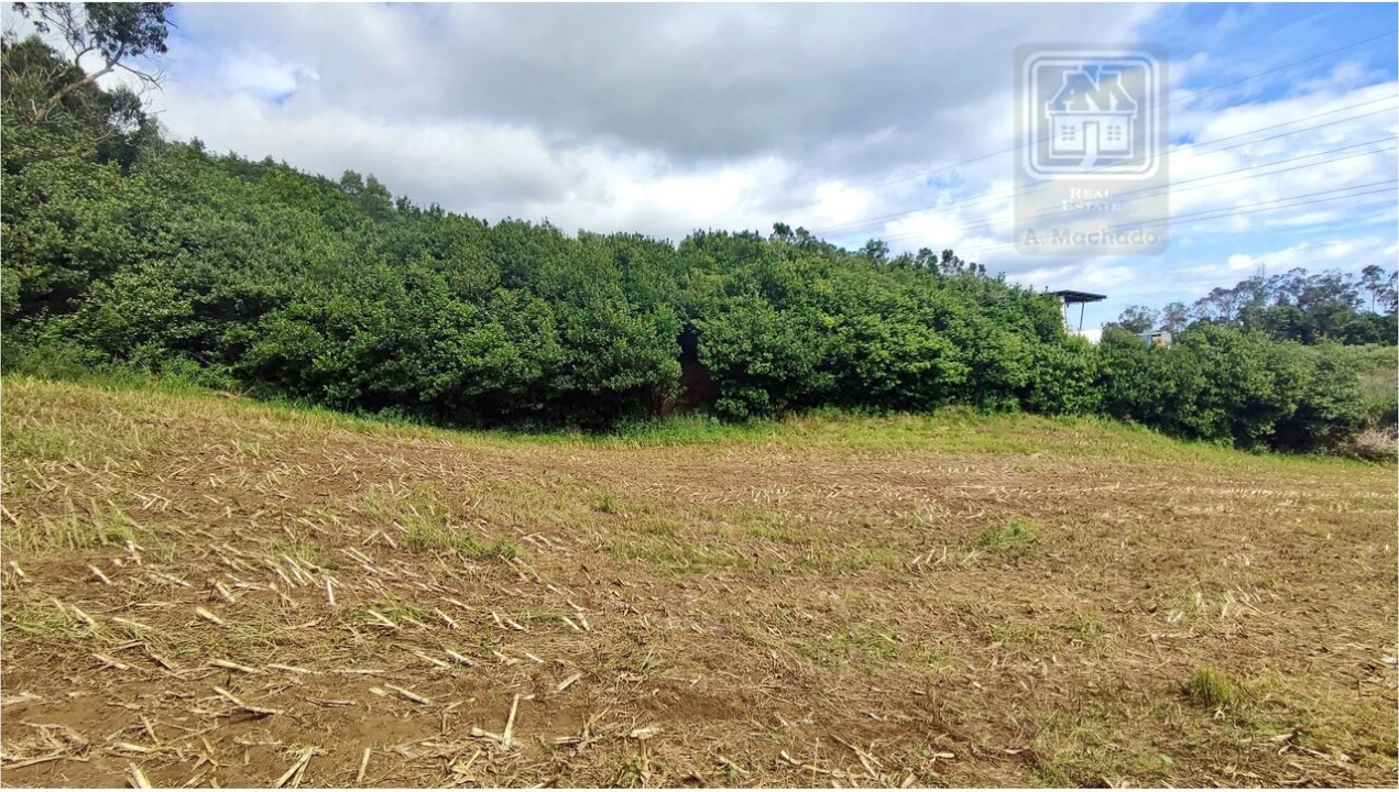 Terreno para Venda em Rosto do Cão (São Roque) Foto 11