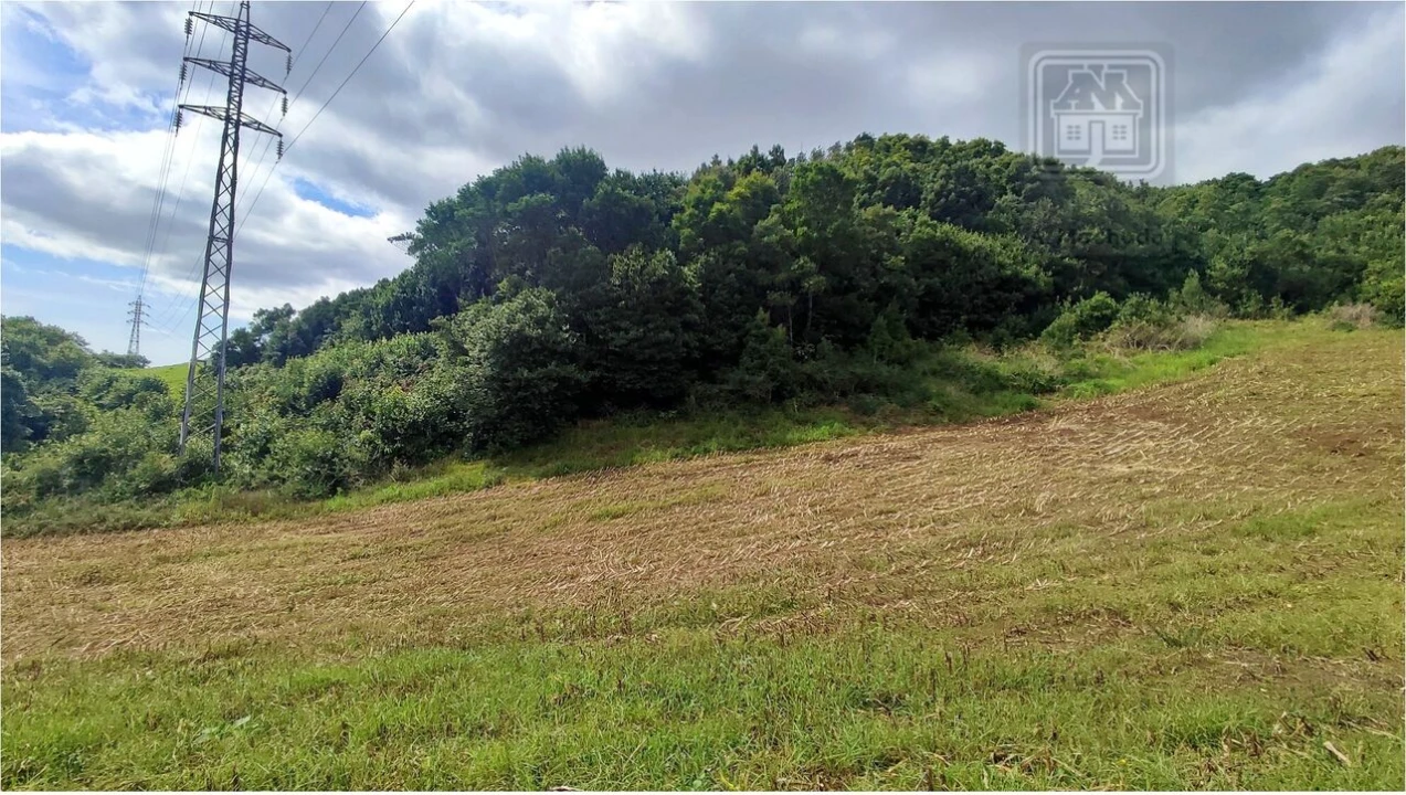 Terreno para Venda em Rosto do Cão (São Roque) Foto 15