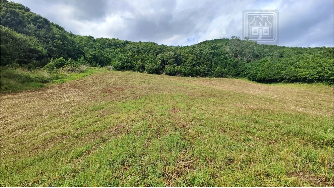 Terreno para Venda em Rosto do Cão (São Roque) Foto 16