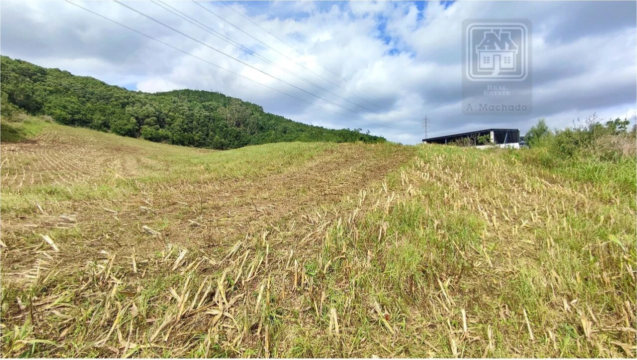 Terreno para Venda em Rosto do Cão (São Roque) Foto 17