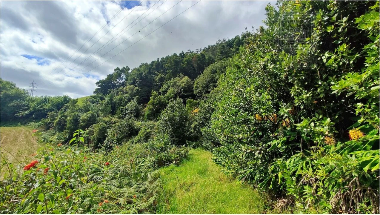Terreno para Venda em Rosto do Cão (São Roque) Foto 23