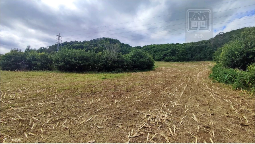 Terreno para Venda em Rosto do Cão (São Roque) Foto 4