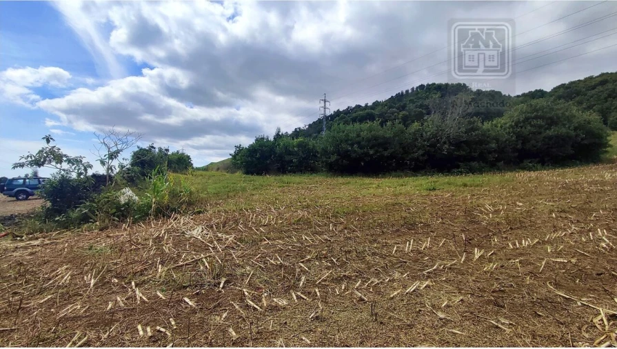 Terreno para Venda em Rosto do Cão (São Roque) Foto 5