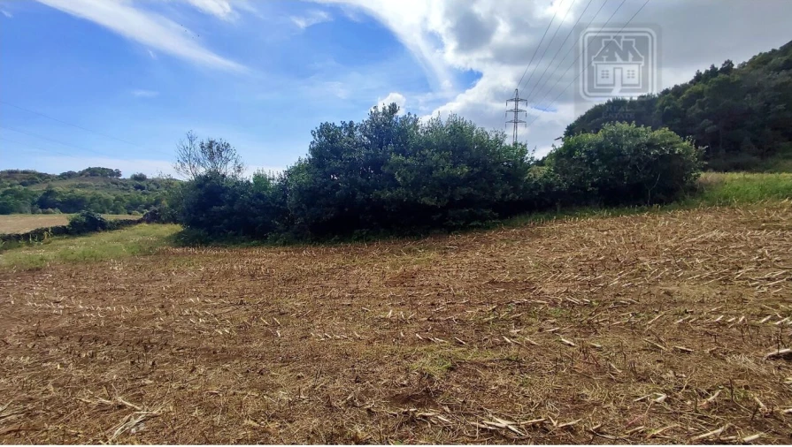 Terreno para Venda em Rosto do Cão (São Roque) Foto 6