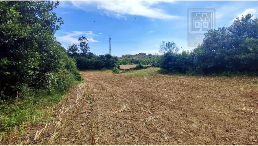 Terreno para Venda em Rosto do Cão (São Roque) Foto 7