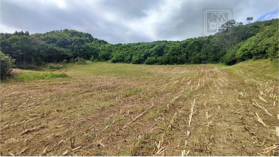 Terreno para Venda em Rosto do Cão (São Roque) Foto 8