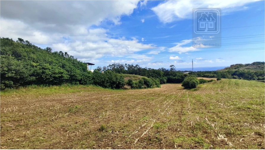 Terreno para Venda em Rosto do Cão (São Roque) Foto 10