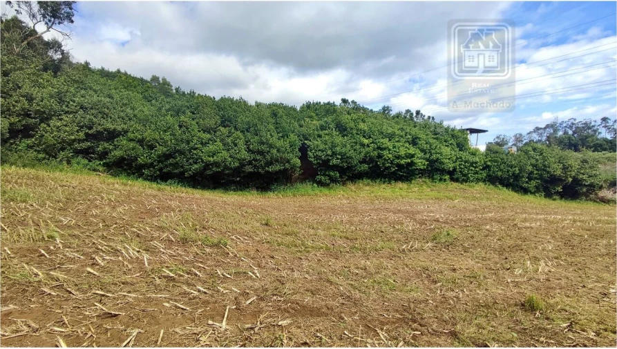 Terreno para Venda em Rosto do Cão (São Roque) Foto 11