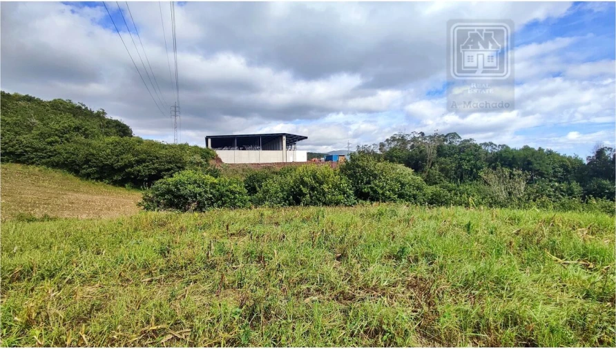 Terreno para Venda em Rosto do Cão (São Roque) Foto 12